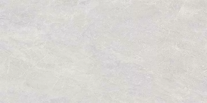 Керамогранит TRENTO GRIS rect. lapp. 60x120
