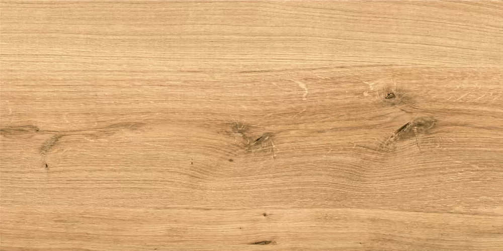 Керамогранит C-WS4O112D Woodhouse коричневый 29,7х59,8