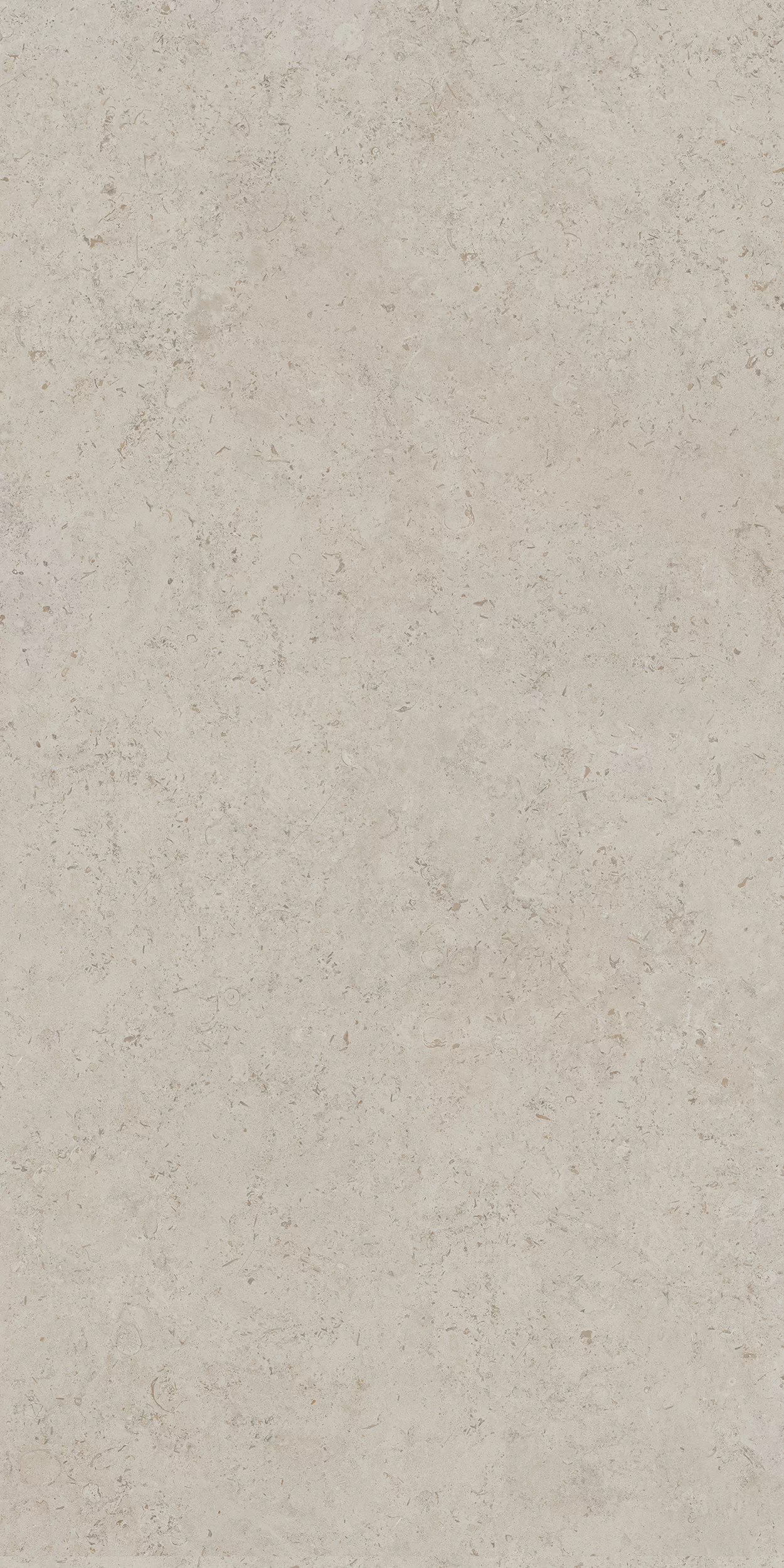 Керамогранит DD590400R Про Лаймстоун АТ бежевый натуральный обрезной R10 119,5х238,5