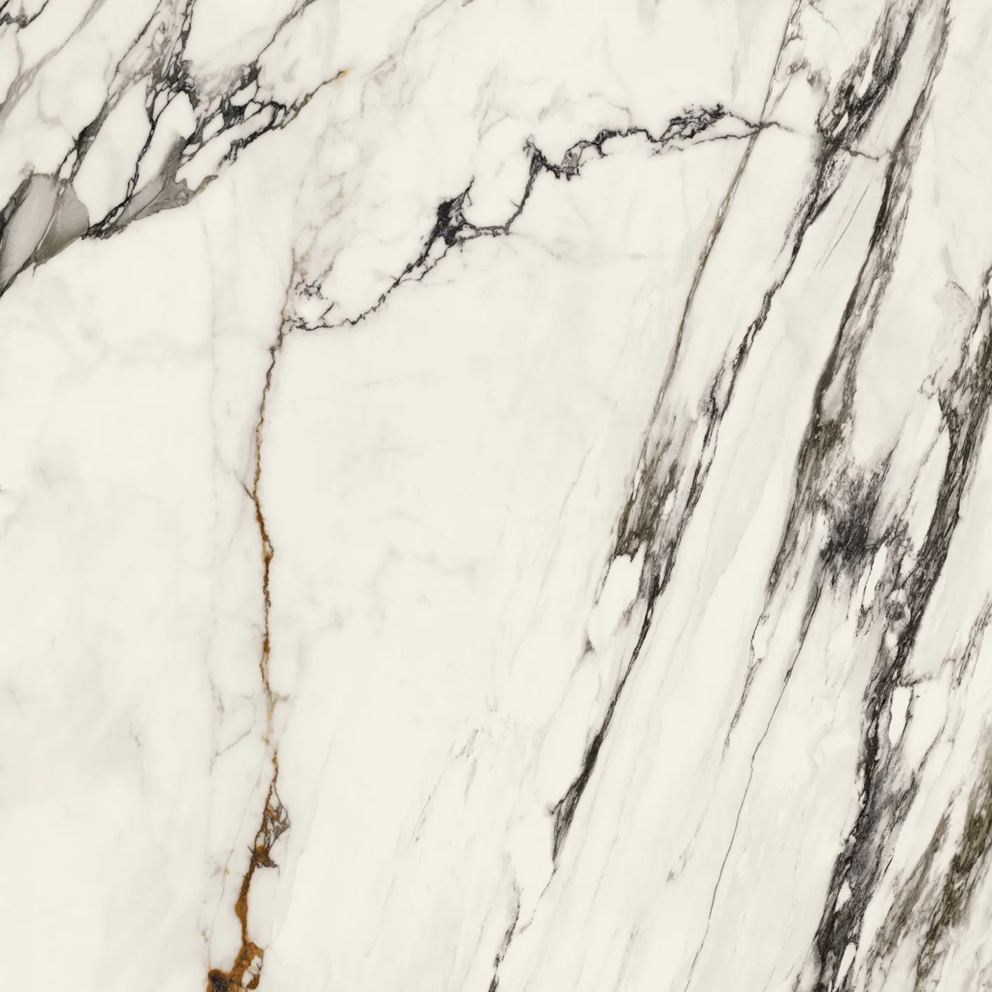 Керамогранит 100331160 Xlight Paonazzo Biondo Silk 120x120