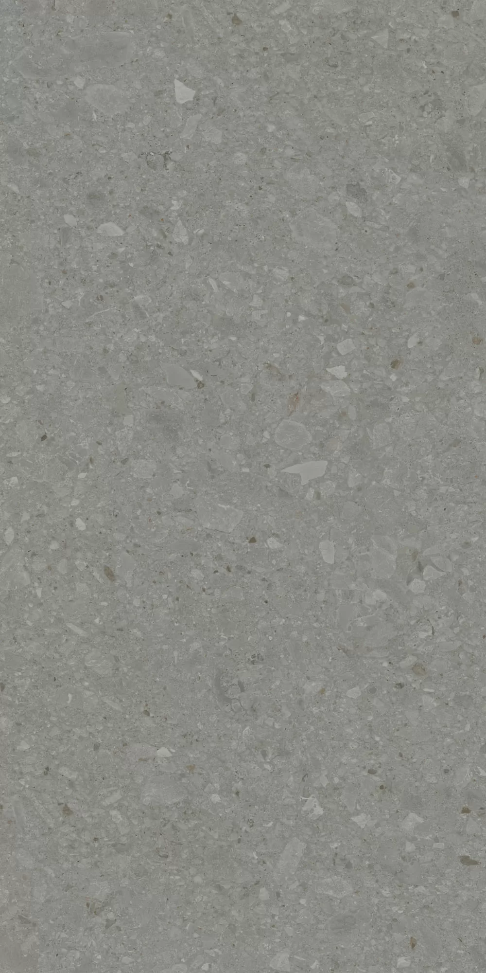Керамогранит DD507920R Чеппо ди Гре серый тёмный матовый обрезной 60x119,5x0,9