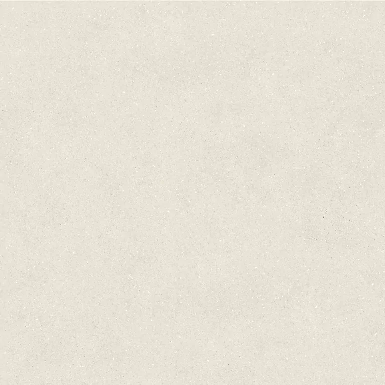 Керамогранит 100348029 Terra Bone 120x120