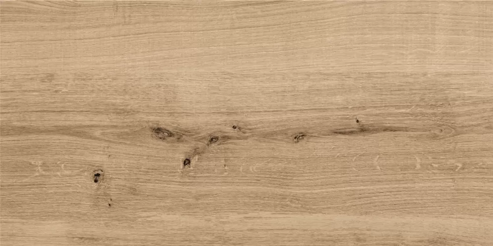 Керамогранит C-WS4O152D Woodhouse темно-бежевый 29,7х59,8