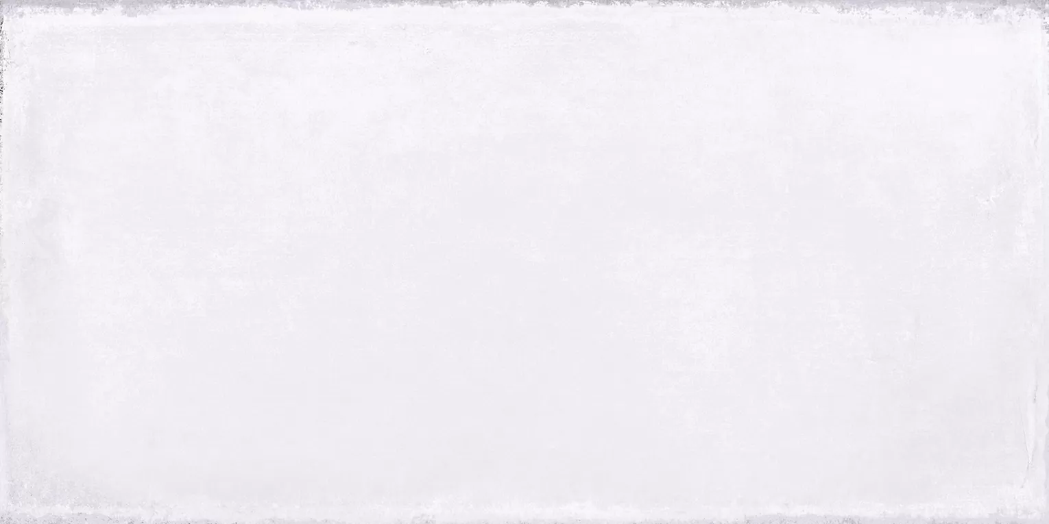 Керамогранит 88373 Crete Zirconio Matt 20x40