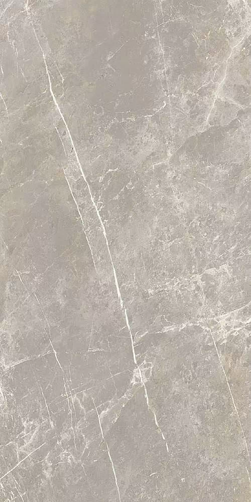 Керамогранит 766528 Elemental Grey Dolomia Luc Ret 60x120