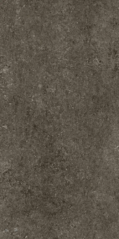 Керамогранит 768327 Sensi Brown Fossil Ret 60x120