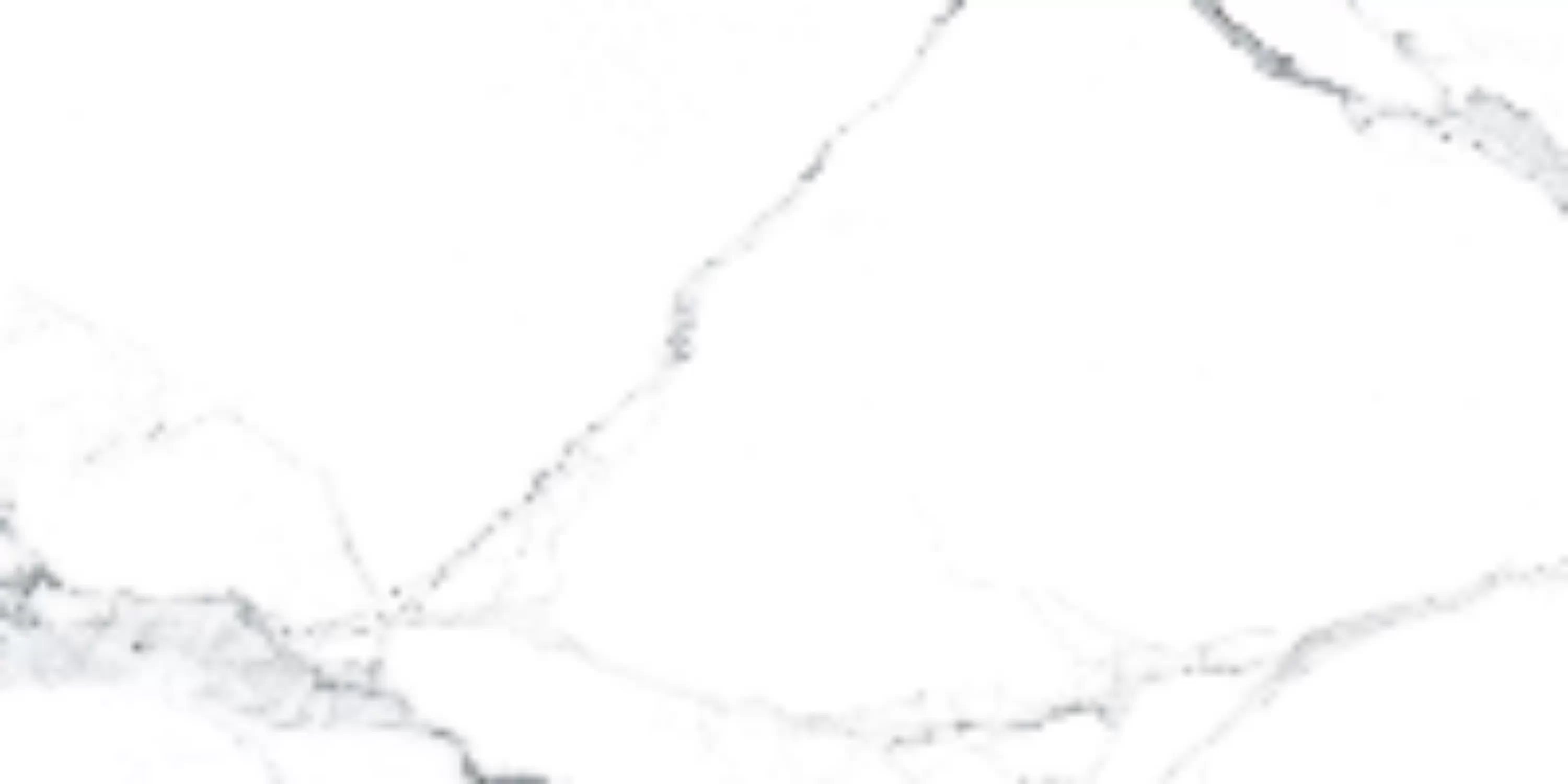 Керамогранит Statuariett White Pulido 60x120