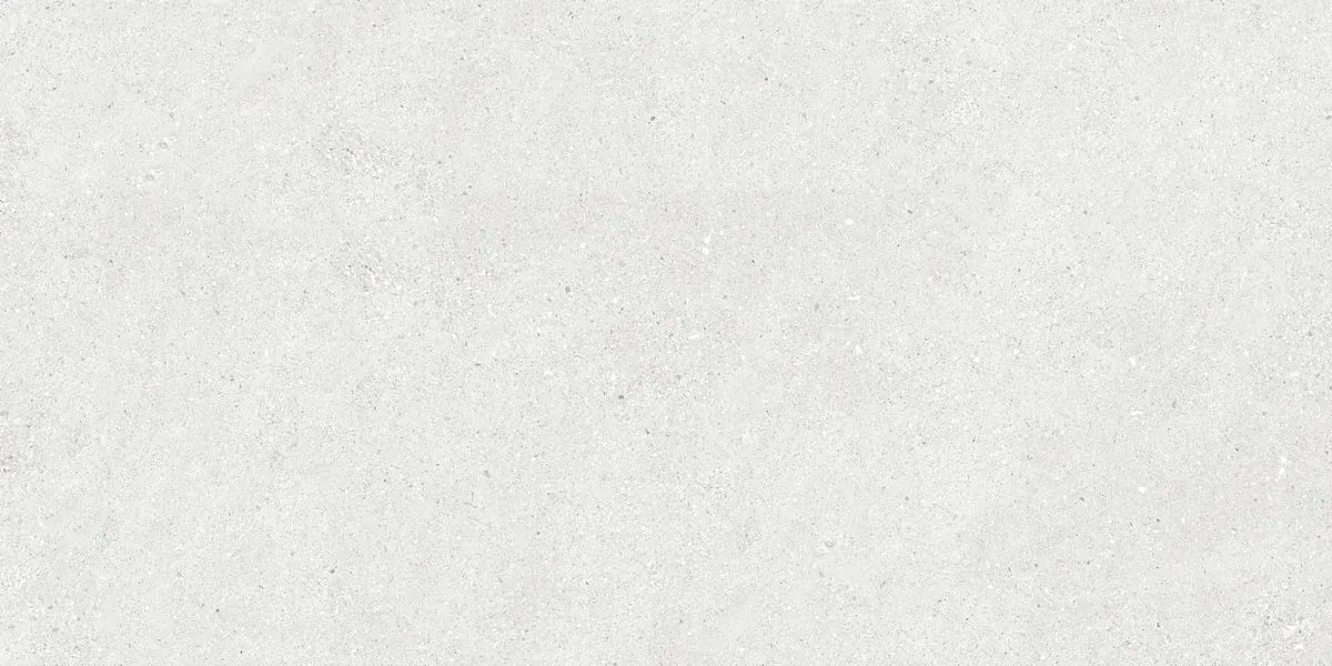 Керамогранит N40031 Stonhenge Grey Matt 60x120