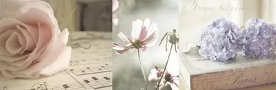 Плитка Decor Romantique 04 25x75