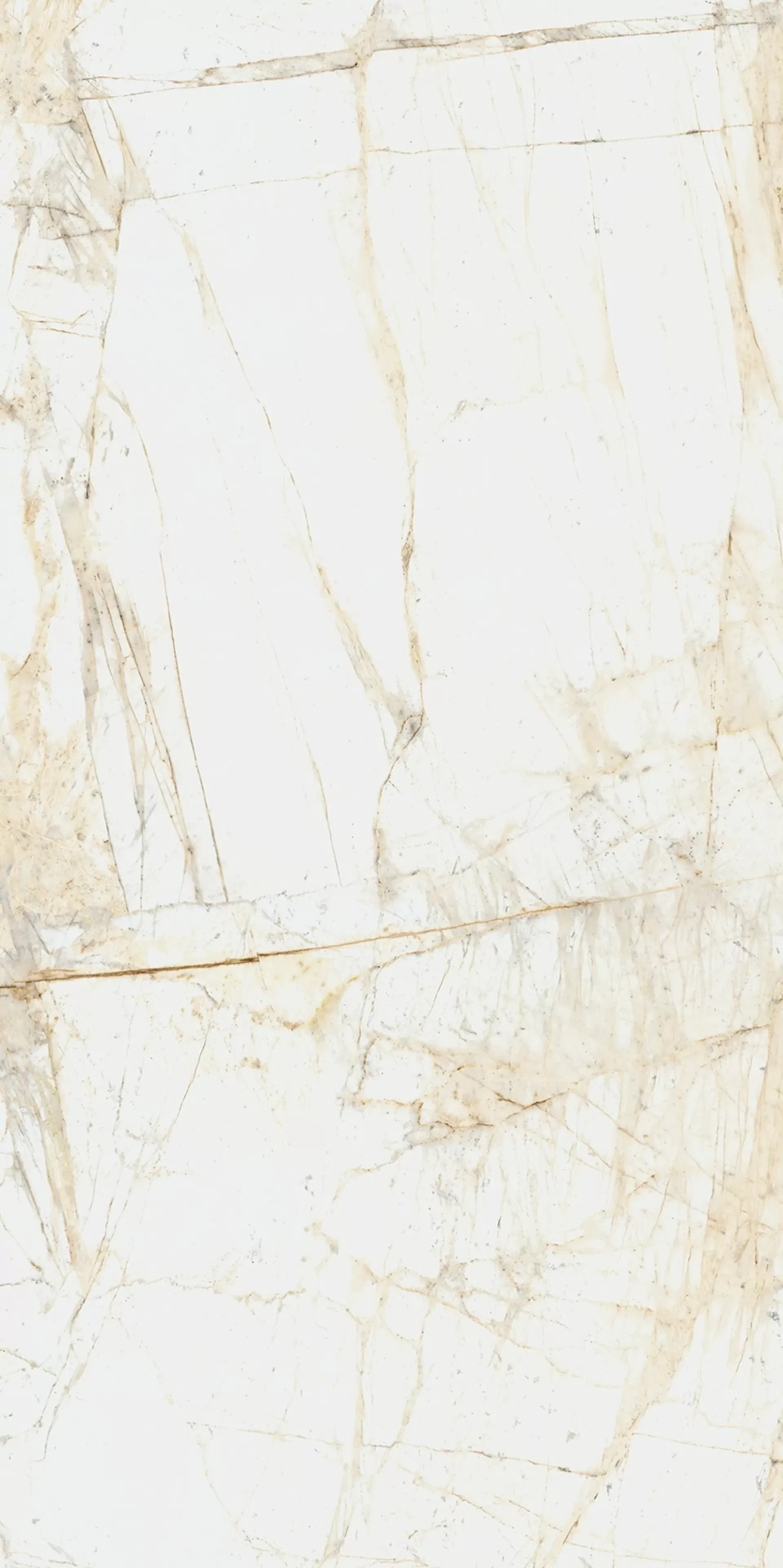 Керамогранит 610010005765 Canova White Ret 60x120