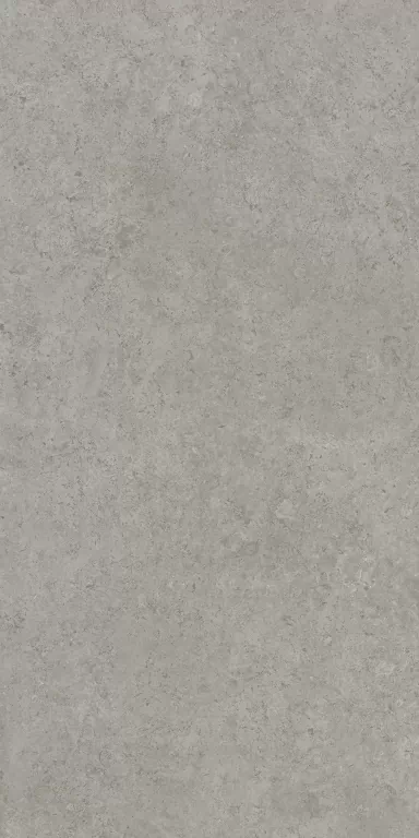 Керамогранит DD590620R Про Лаймстоун АТ серый натуральный обрезной 119,5x238,5x0,9