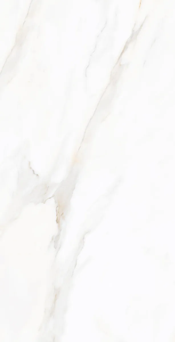 Керамогранит N9608T30 Sharon Light Polished 60х120