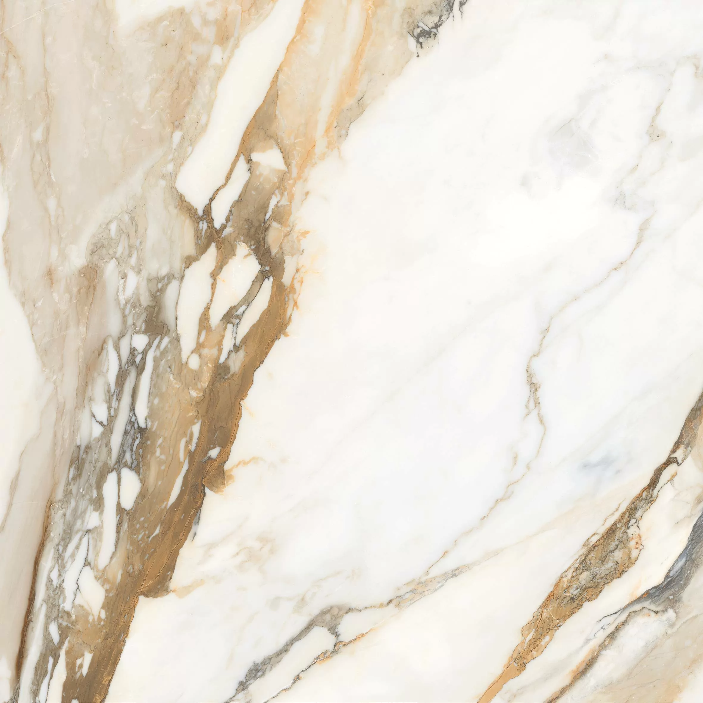 Керамогранит Calcatta Gold Borghini 60x60