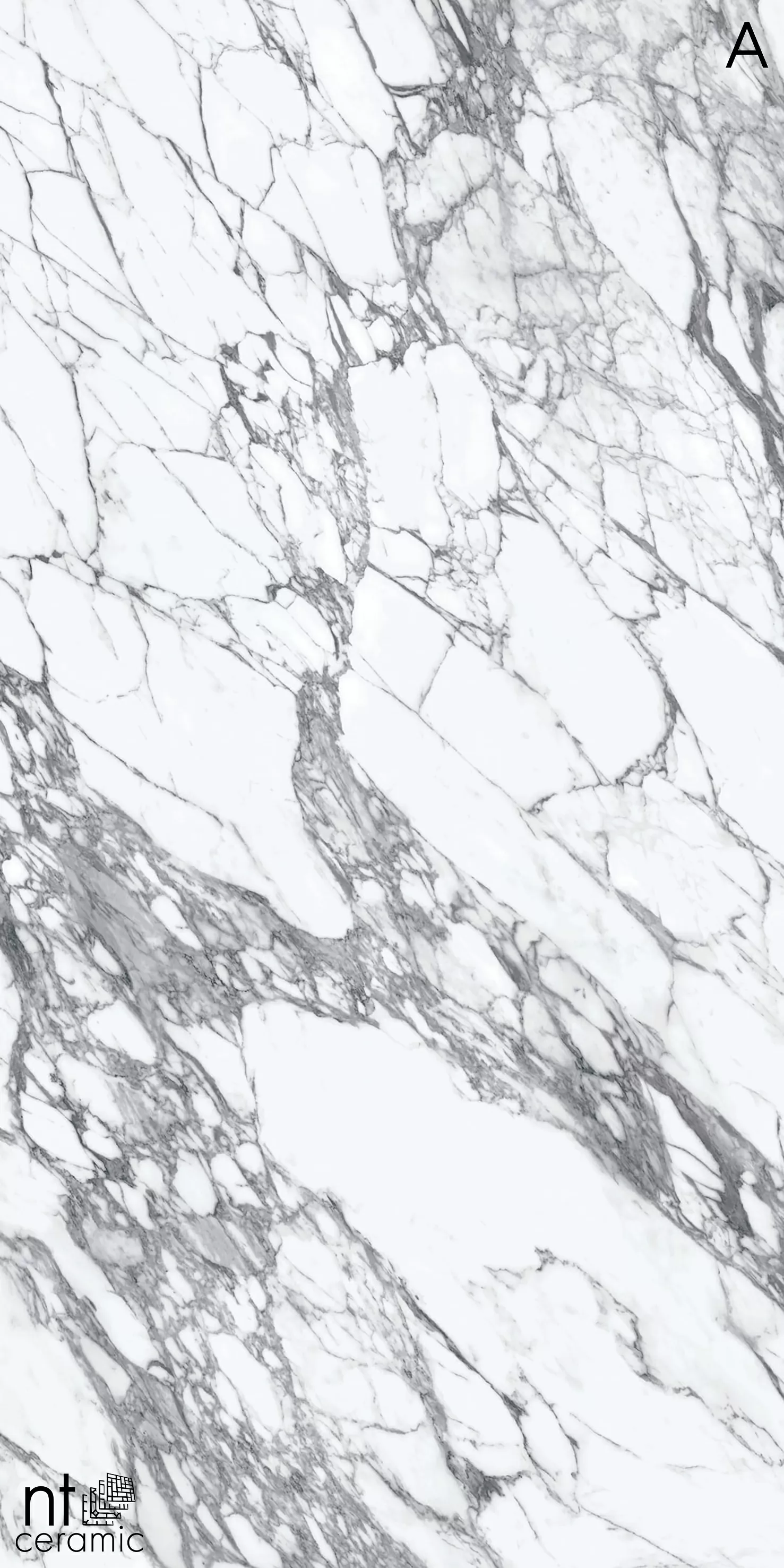 Керамогранит NTT3507L Calaсatta Rock 120x270
