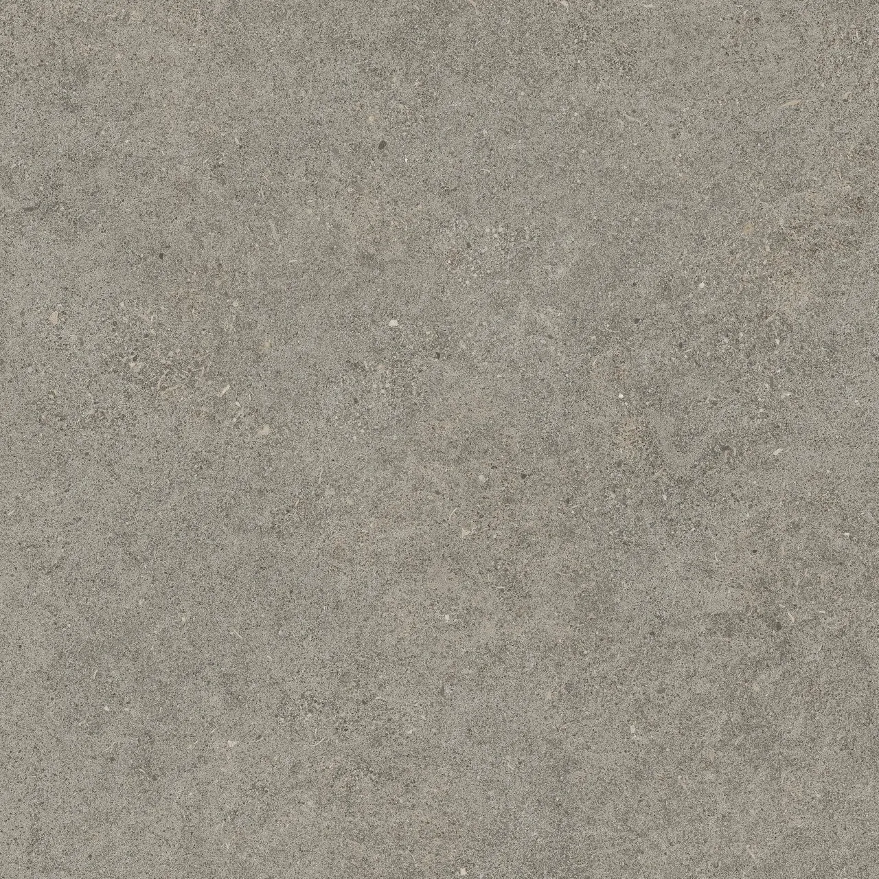 Керамогранит 610010005836 Forte dei Marmi Rock Lunar Grey Lastra 20mm 60x60
