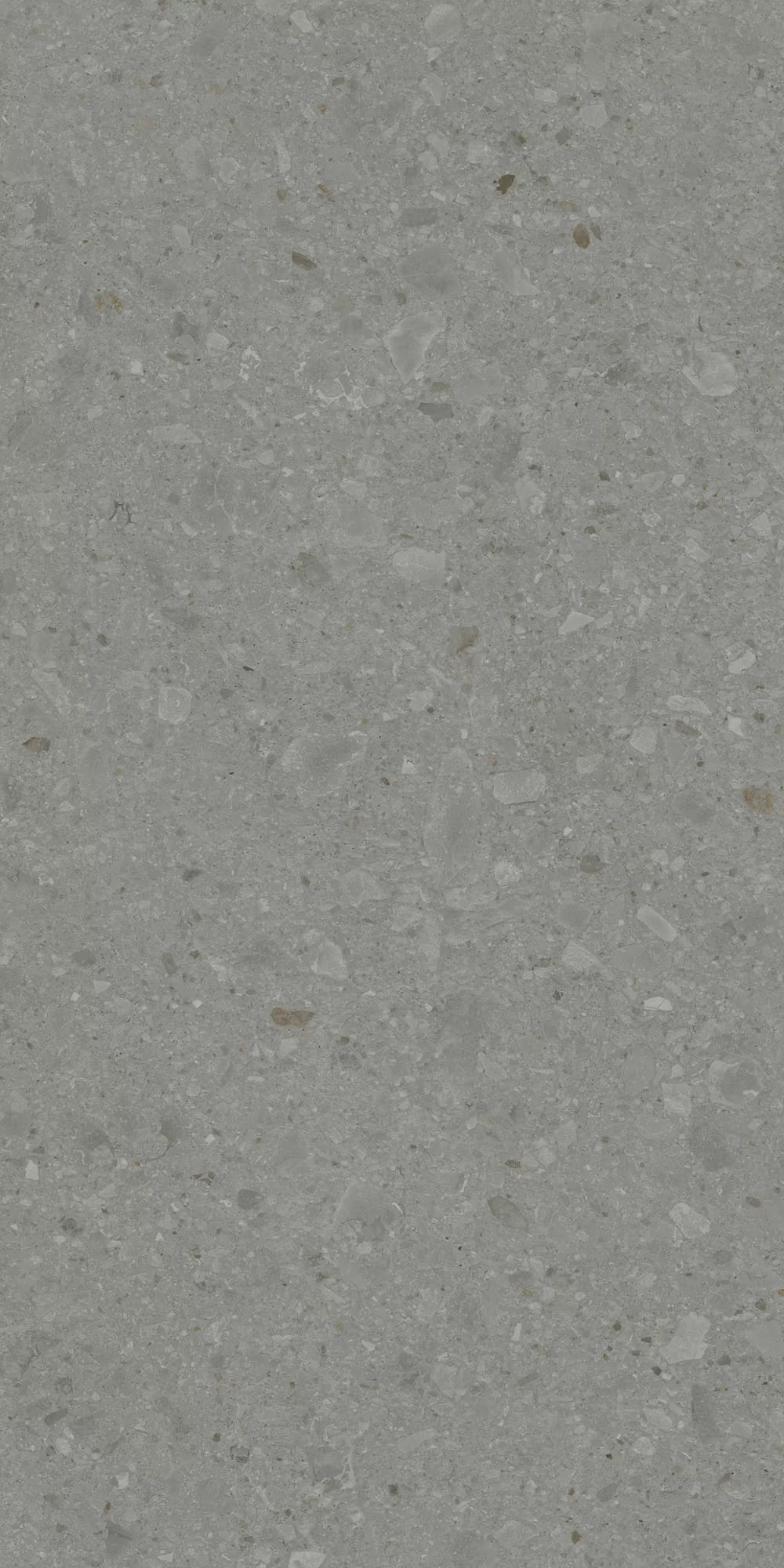 Керамогранит DD591500R Чеппо ди Гре серый тёмный матовый обрезной 119,5x238,5x1,1