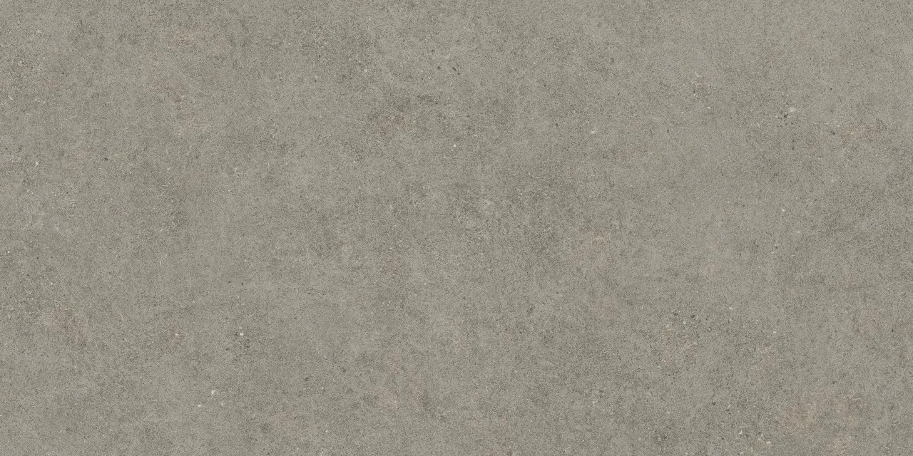 Керамогранит 610010005813 Forte dei Marmi Rock Lunar Grey Matt Rett 80x160