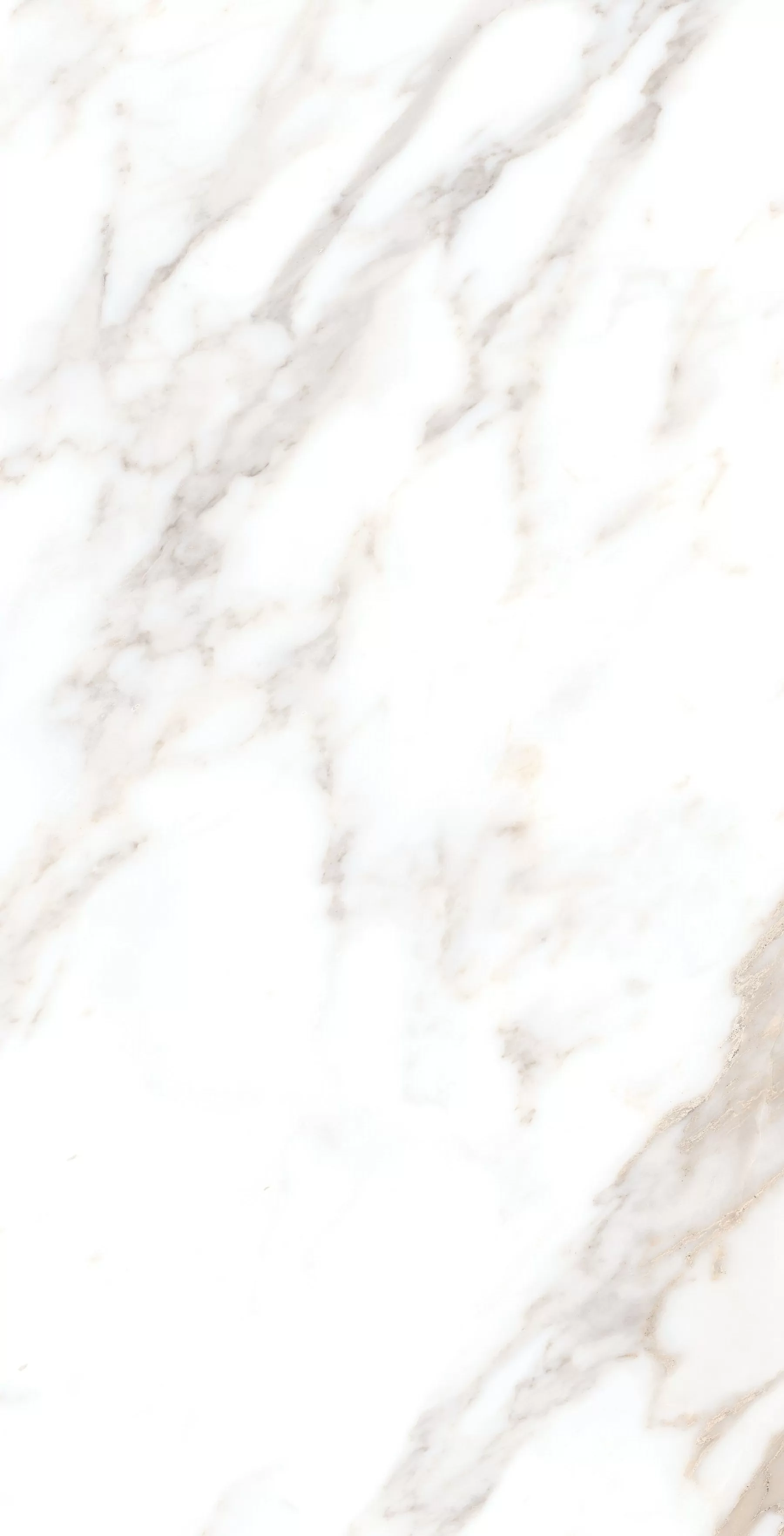 Керамогранит Calacatta Borghini Sugar 60х120