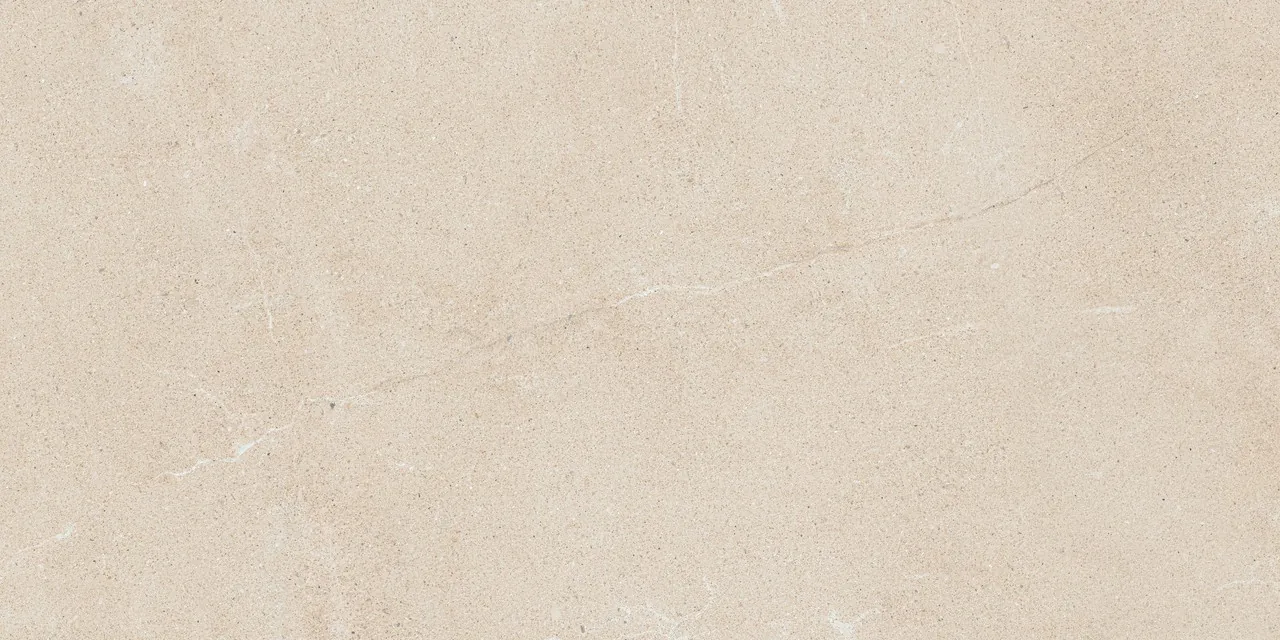 Керамогранит 610010005811 Forte dei Marmi Rock Venaria Black Matt Rett 80x160