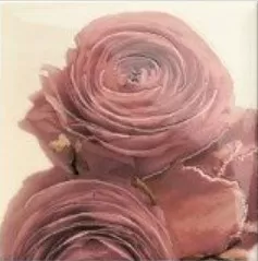 Плитка Decor Cuore 20x20 mix