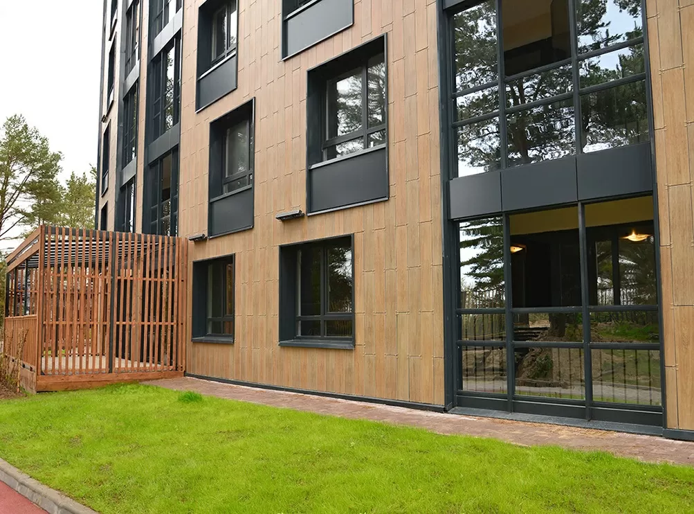 Керамогранит Granite WOOD CLASSIC Soft Oliva / Гранит ВУД КЛАССИК Софт Олива SR 120x19,5