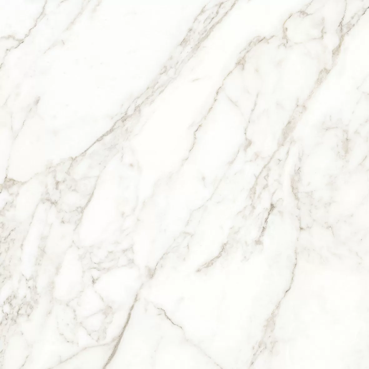 Керамогранит Carrara Immense Белый Полированный 80х80
