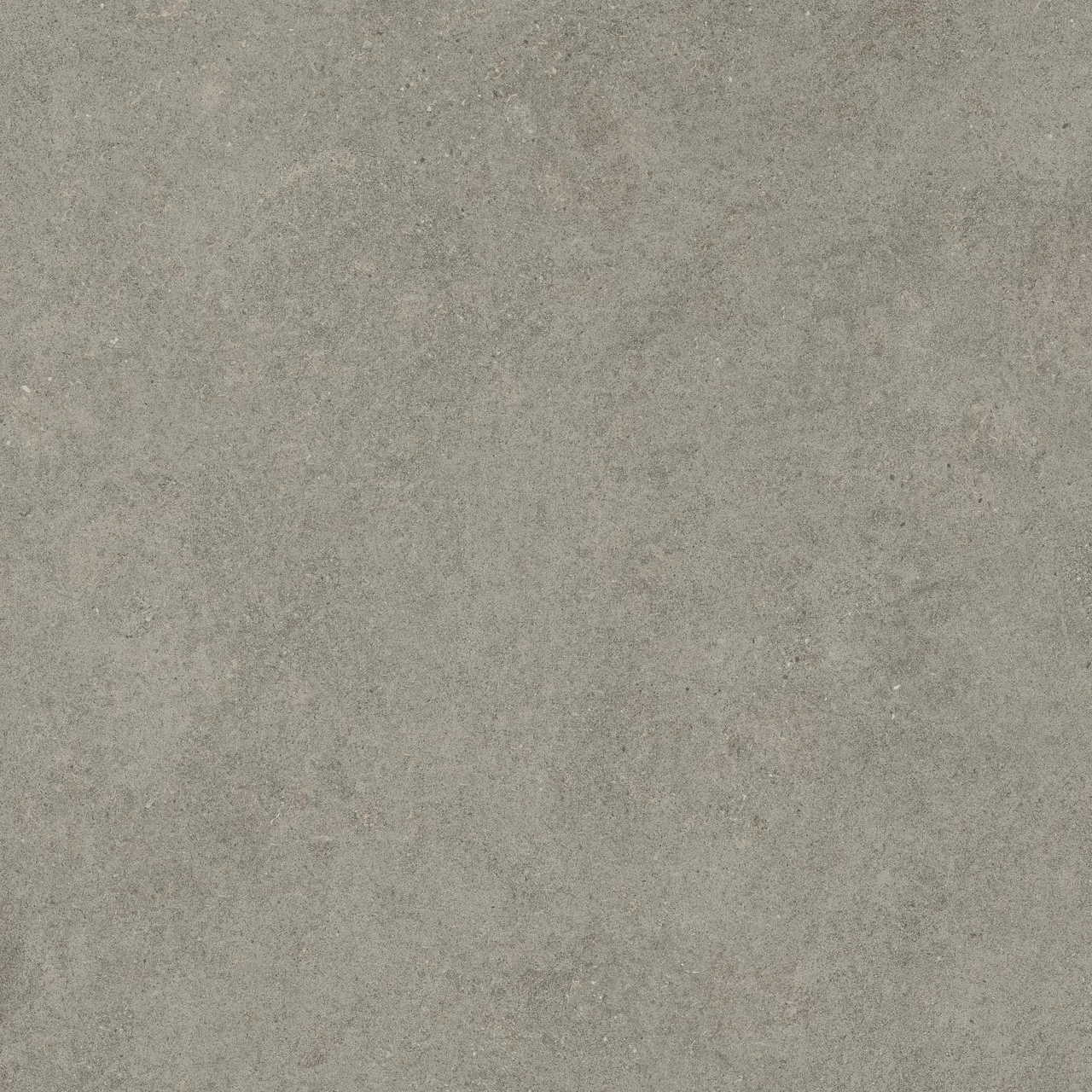 Керамогранит 600010002429 Forte dei Marmi Rock Lunar Grey Matt Rett 120x120