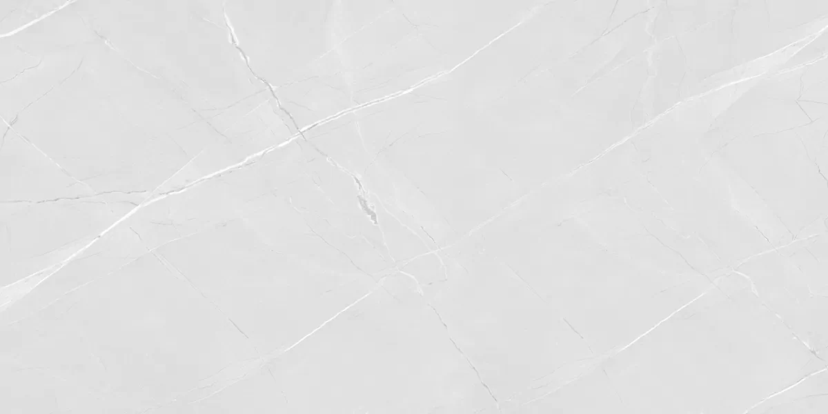 Керамогранит PRO 1166G Armani Bianco 1200x600