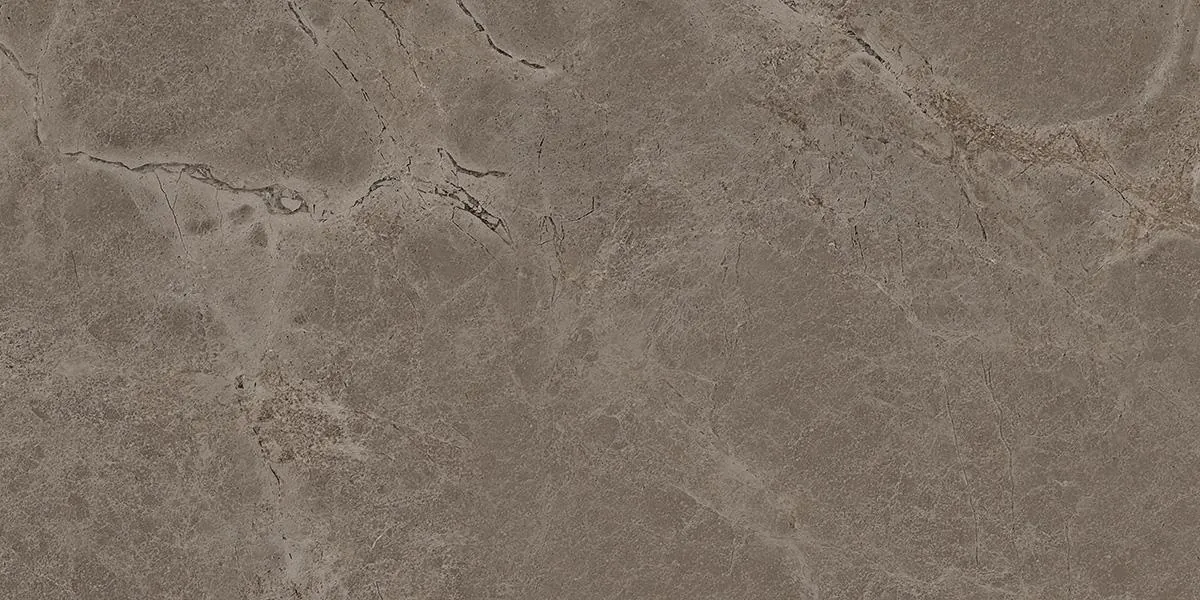 Керамогранит Iconic Truffle Matt 60x120