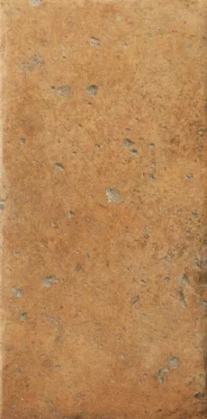 Керамогранит 1080485 Cotto Del Campiano Giallo Umbria 20x40