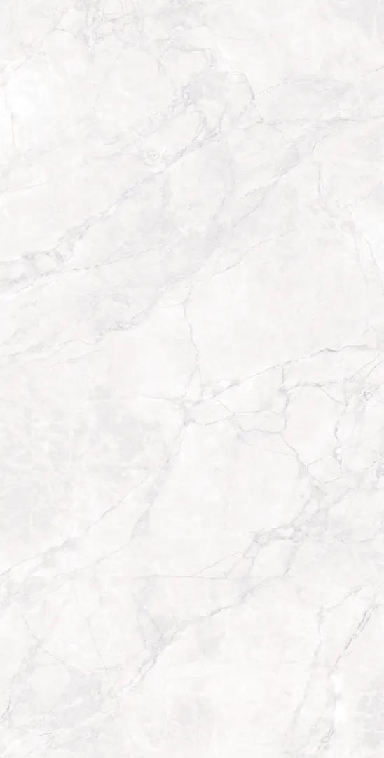 Керамогранит CR4007-A Arctic White Carving 60x120