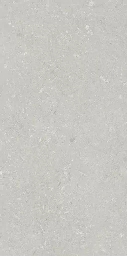 Керамогранит 005487 Shellstone Bianco 60x120