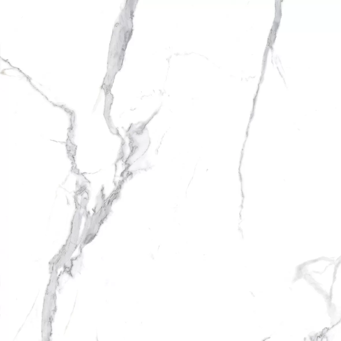 Керамогранит Calacatta Splendid Silver Белый Полированный 80х80