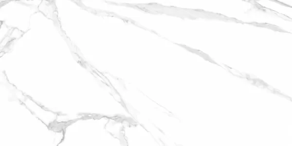 Керамогранит Albeta Statuario 60x120