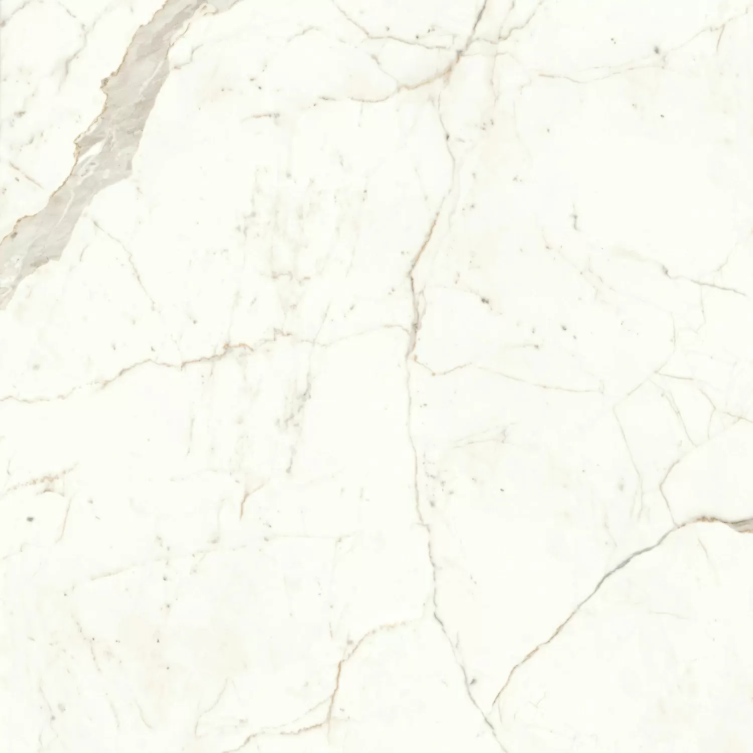 Керамогранит A4Q5 Marvel Calacatta Prestigio Matt 120x120