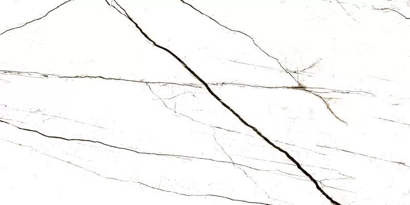 Керамогранит C2AA05T000D1SO Elegance White Semi Polished Rect 60х120