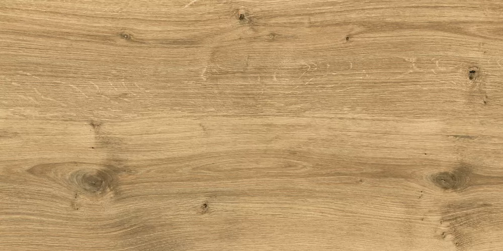 Керамогранит C-WS4O112D Woodhouse коричневый 29,7х59,8