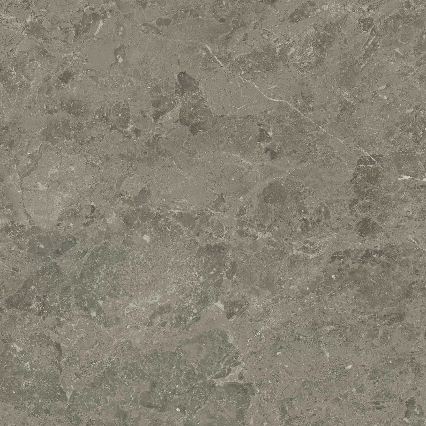Керамогранит AJJD Marvel Meraviglia Grigio Elegante Matt 60x60