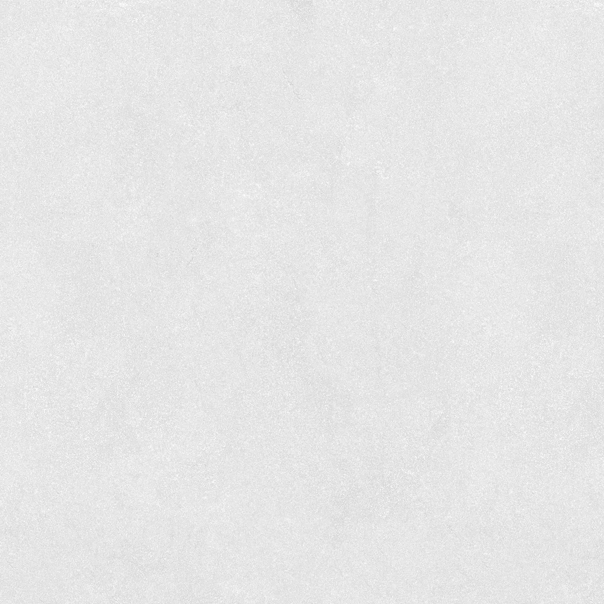 Керамогранит ENLFT5005SR116060 Cement Smoky Structured R11 600x600x20