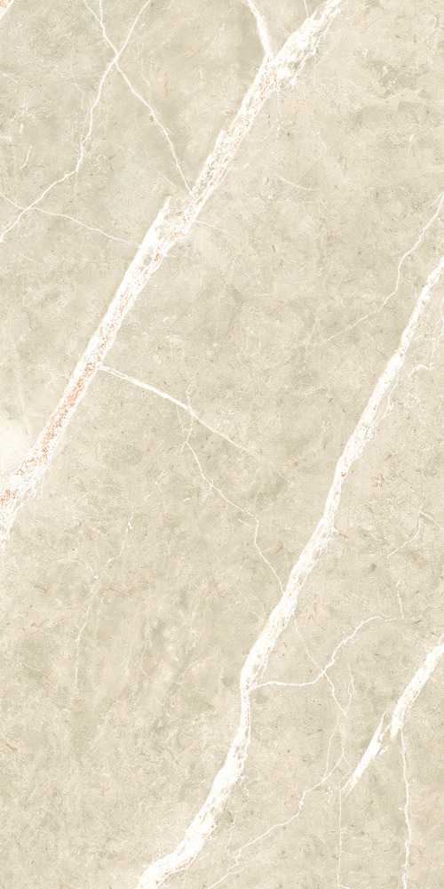 Керамогранит NTT99619PC Granite Wisdom Stone Punch Carving 60x120
