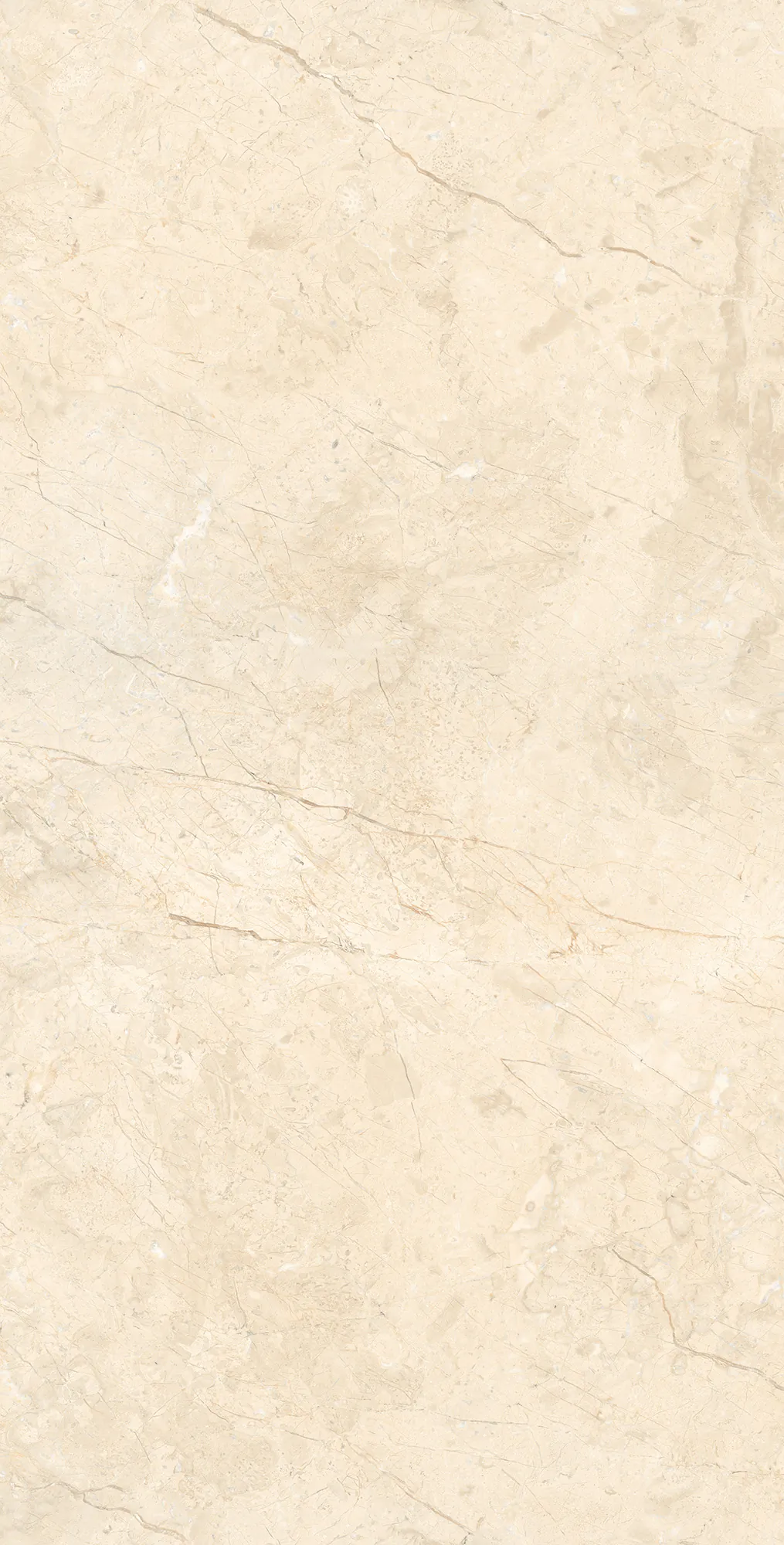 Керамогранит RT7016-A Marcus Cremano Matt Rustic 60x120