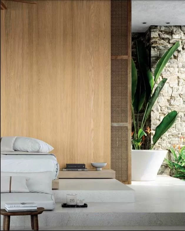 Xlight Cadore Arce