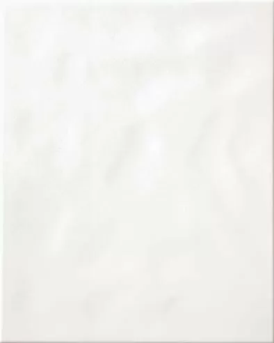 Плитка WARG6000 System white 20x25
