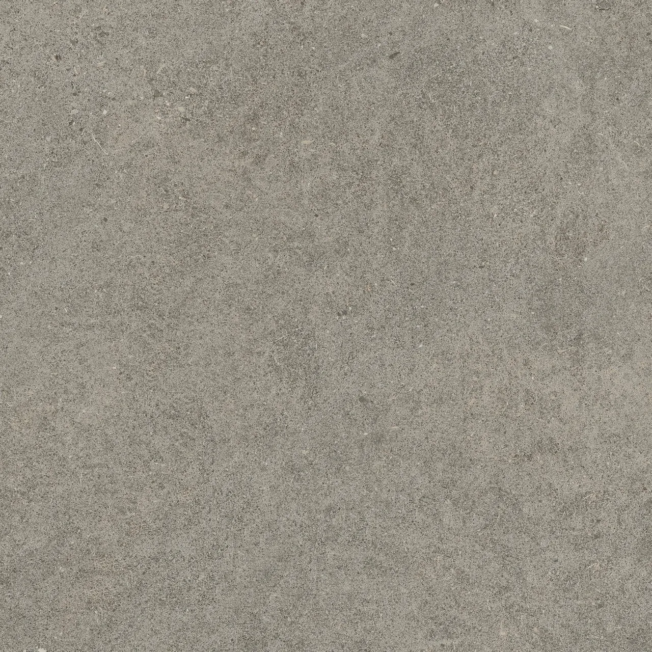Керамогранит 610010005836 Forte dei Marmi Rock Lunar Grey Lastra 20mm 60x60