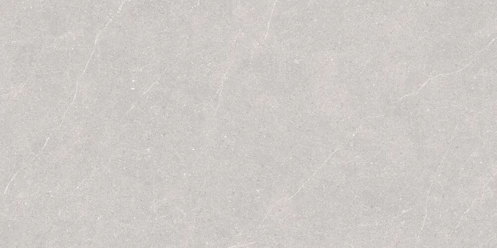 Керамогранит Elenta Ash Carving 60x120