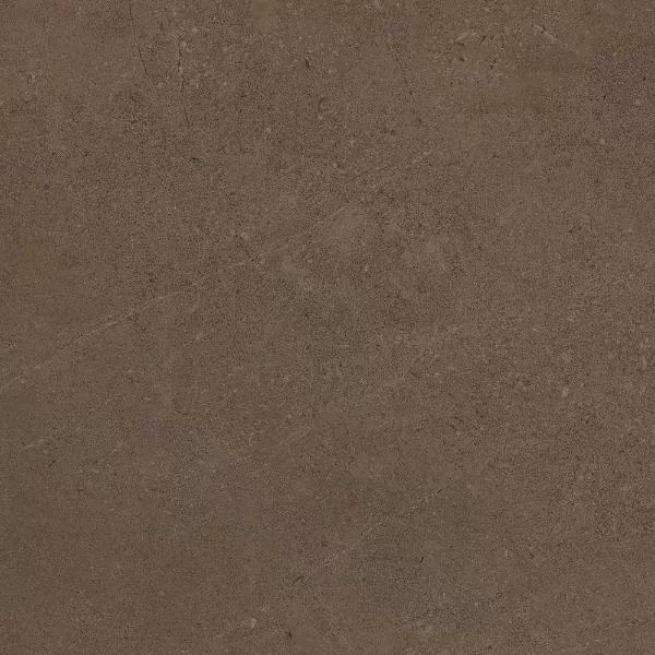 Керамогранит GO03 Gobi Brown Grey неполированный 60x60
