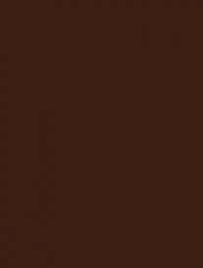 Плитка WAAKB109 CONCEPT Brown 25x33
