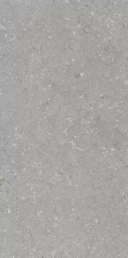 Керамогранит 005485 Shellstone Grigio 60x120