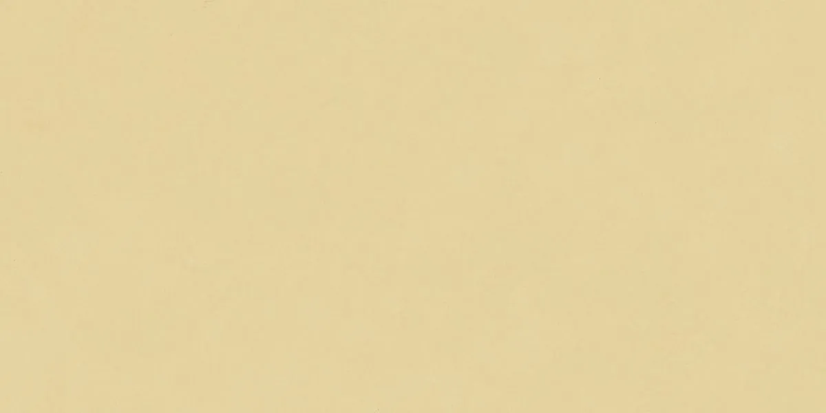 Керамогранит N12037 Blossom Sun Matt 60x120