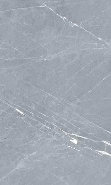 Плитка Elegance Grey 02 30x50